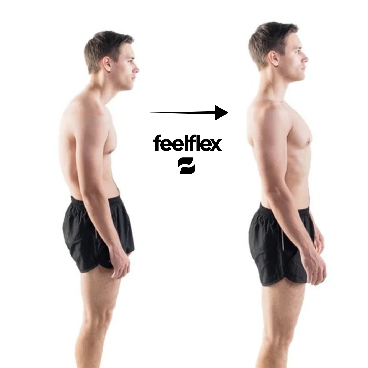 Semelle Support de l’Arche